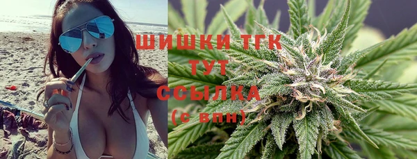 сатива Магадан