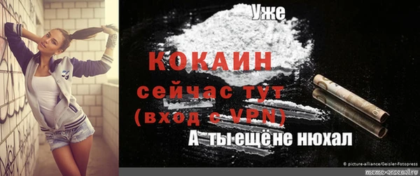 сатива Майский