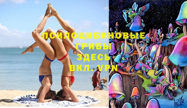сатива Майский